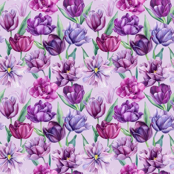 Цветы Тюльпанов Акварель Ботаническая Живопись Нежный Цветочный Узор Высокое Качество — стоковое фото