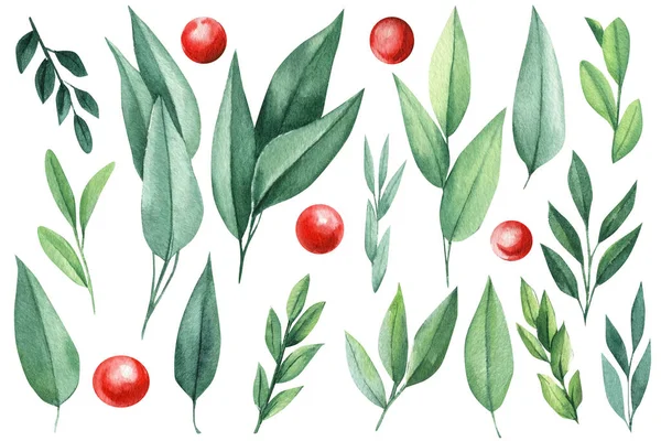 Σετ Φυτικά Στοιχεία Φύλλα Holly Κόκκινα Μούρα Ευκάλυπτος Εικονογράφηση Υδατογραφίας — Φωτογραφία Αρχείου