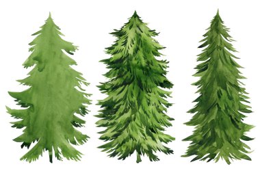 Suluboya Noel ağaçları, modern tasarım. El ilanları, afişler, tebrik kartları, davetiyeler. Yüksek kaliteli illüstrasyon