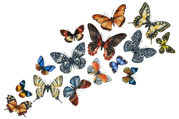 Рою Тропічних Метеликів Ізольованому Білому Тлі Акварельного Живопису Ручні Пофарбовані — стокове фото