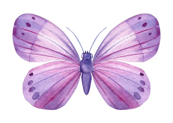 Hermosas Mariposas Aisladas Sobre Fondo Blanco Ilustración Acuarela Pintada Mano —  Fotos de Stock