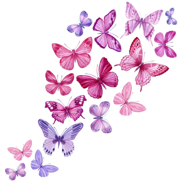 Swarm tropical butterflies on an isolated white background, watercolor painting. Hand painted pink and purple butterfly. High quality illustration