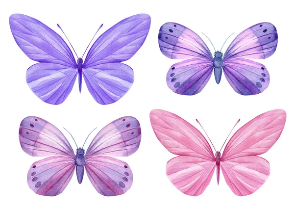 Метелики Встановлені Ізольовані Білому Тлі Акварельна Ілюстрація Вашого Дизайну Високоякісна — стокове фото