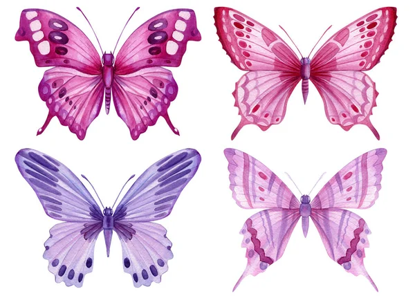 一群蝴蝶在白色的背景上被隔离了 水彩画 老式风格 你设计的模板 高质量的例证 — 图库照片