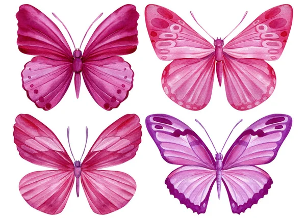 Ροζ Πεταλούδες Απομονωμένες Λευκό Φόντο Στυλ Ακουαρέλας Στοιχεία Του Σχεδίου — Φωτογραφία Αρχείου