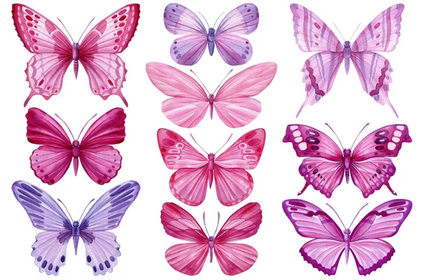 粉色和紫色蝴蝶设置 孤立的背景 水彩画 老式风格 你设计的模板 高质量的例证 — 图库照片