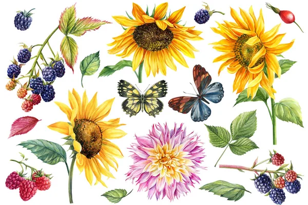 Ljus Bukett Med Blad Och Blommor Akvarell Botanisk Illustration Högkvalitativ — Stockfoto