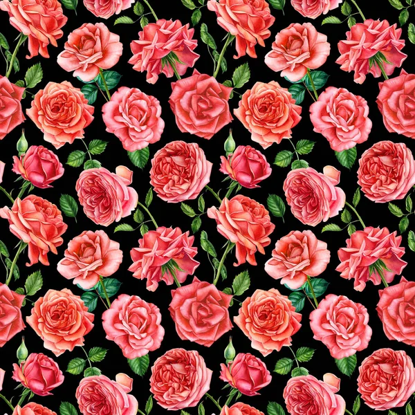 Floral Seamless Pattern Roses Flowers Watercolor Botanical Illustration High Quality — Stock Photo, Image