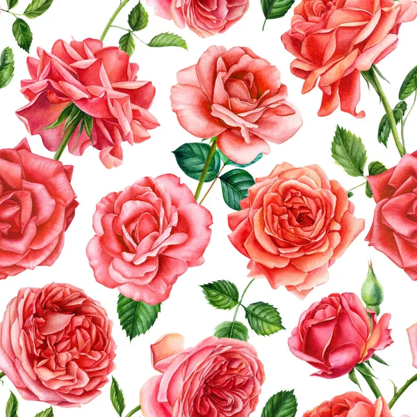 Floral Seamless Pattern Roses Flowers Watercolor Botanical Illustration High Quality — Stock Photo, Image
