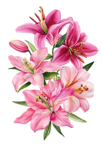 Букет Квітів Лілій Акварельна Ботанічна Ілюстрація Квіткові Елементи Високоякісна Ілюстрація — стокове фото