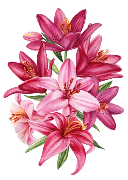 Букет Квітів Лілій Акварельна Ботанічна Ілюстрація Квіткові Елементи Високоякісна Ілюстрація — стокове фото