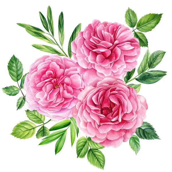 Aquarela Rosas Flores Cor Rosa Fundo Branco Cartões Convites Casamento — Fotografia de Stock