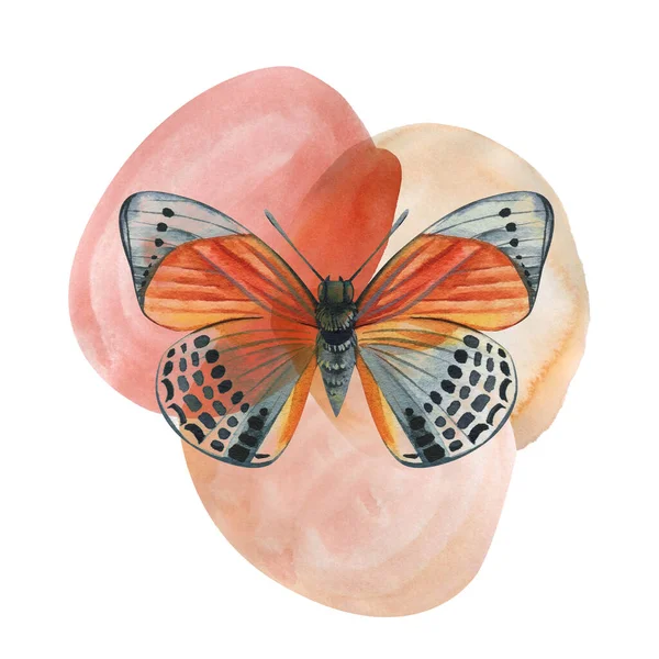 抽象画 几何图形 老式蝴蝶隔离在白色背景 彩色水彩画 高质量的例证 — 图库照片