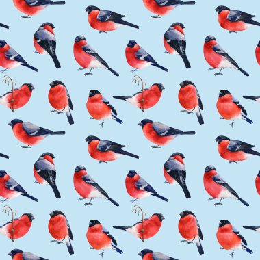 Kuş ispinozları ve suluboya resimlerle kusursuz desen. Yüksek kaliteli illüstrasyon