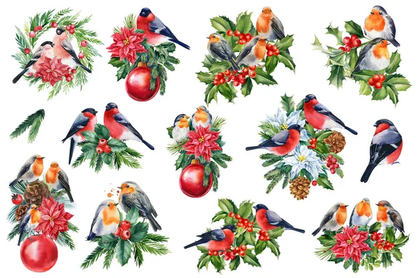 Conjunto Férias Bullfinches Robin Fundo Branco Isolado Ilustração Aquarela Pássaros — Fotografia de Stock