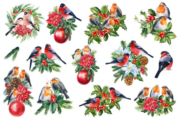 Holiday set. Bullfinches and robin on an isolated white background, watercolor illustration. Red birds and holly. High quality illustration