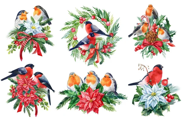 Świąteczny Clipart Ptaki Białym Tle Akwarelowy Bukiet Kwiatowy Świąteczny Wystrój — Zdjęcie stockowe