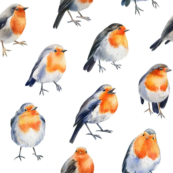 Naadloos Patroon Met Vogels Roodborstje Aquarel Illustratie Hoge Kwaliteit Illustratie — Stockfoto