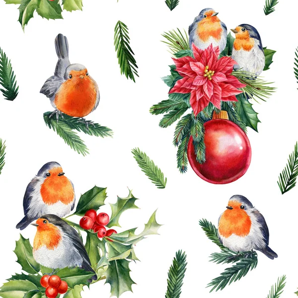 Patrón Invierno Con Birds Robin Fondo Vacaciones Ilustración Acuarela Ilustración —  Fotos de Stock
