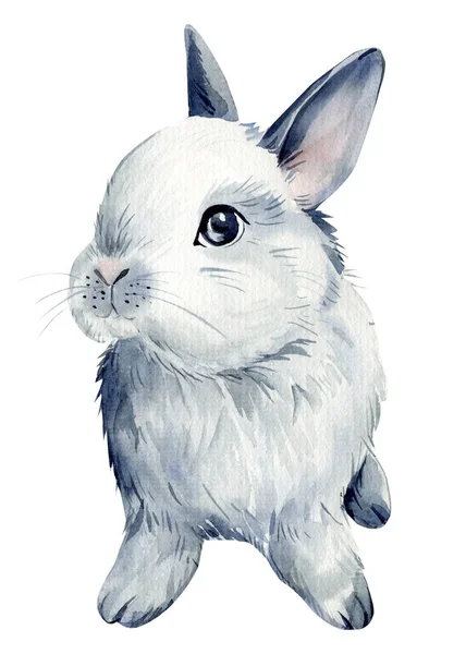 Hase Auf Isoliertem Weißem Hintergrund Aquarell Illustration Graue Kaninchen Hochwertige — Stockfoto