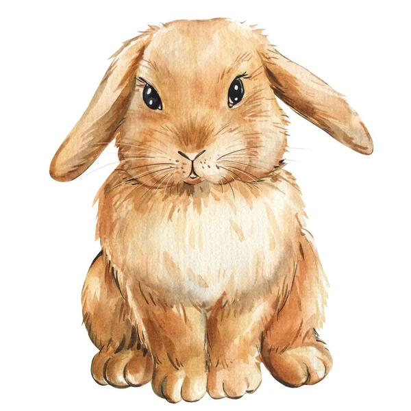 Lapin Sur Fond Blanc Isolé Illustration Aquarelle Lapin Beige Illustration — Photo