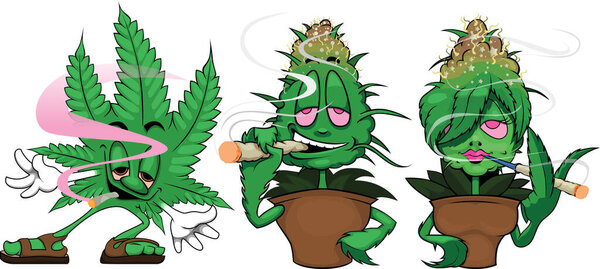 Corny weed mascot characters in vector graphics