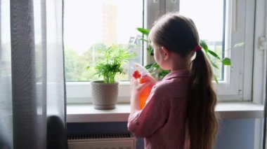 Uzun saçlı, gömlek giyen küçük bir kız, evde çiçeklerle ilgilenir, pencerenin üzerinde duran çiçeklere su sıçratır.