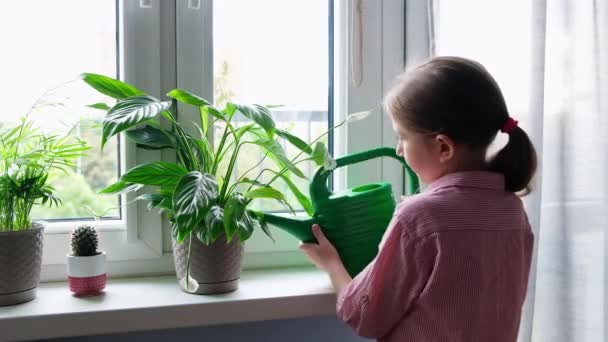 Egy kislány hosszú hajjal, ingbe öltözve, otthon, öntözve a virágokat, amik az ablakon állnak egy öntözőkannából. — Stock videók