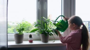 Uzun saçlı küçük bir kız, gömlekli, sulama tenekesinin camında duran çiçekleri suluyor. Su çömlekten akıyor.