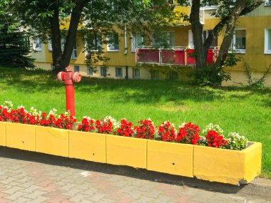 Güneşli bir günde evin önünde çiçek saksıları olan renkli bir ev bir yangın musluğunun yanında duruyor..