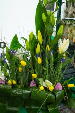 Polonya 'daki Gardenya Bahçe Fuarı çiçek sergisi, Poznan 04.11.2021. Çiçek bileşimi