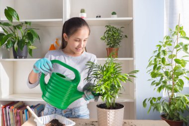 Genç kız nakilden sonra çiçekleri saksıya naklediyor. Ev bahçesi kavramı