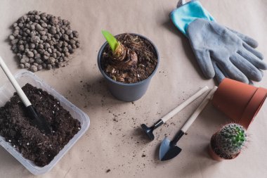 1 nolu nakledilen soğanlı çiçek aroması, el sanatları arka planında, küçük bahçe aletleri.