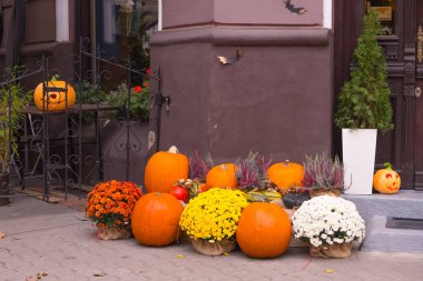 Sonbahar gösterisi, Cadılar Bayramı için çiçek ve balkabağıyla süslenmiş mağaza girişi..