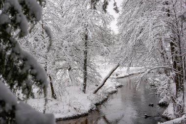 Kış manzarası. Karla kaplı ormandaki nehir. yüksek kalite