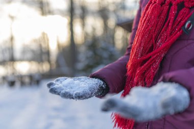 Kadın eldivenli elleri kış ormanının arka planında karla kaplıydı..