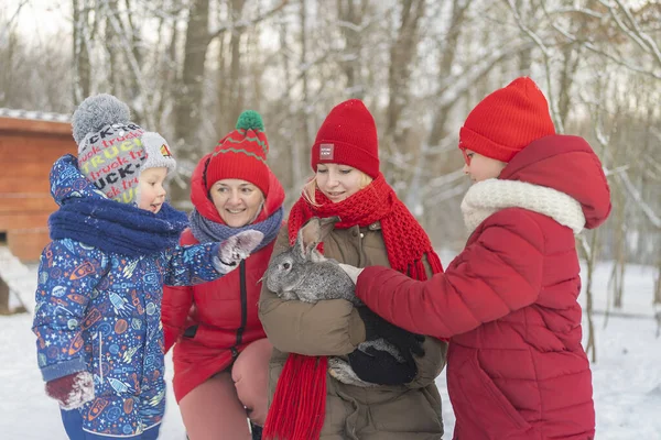 Kids Mom Feed Keep Rabbit Zoo Have Fun — Foto Stock