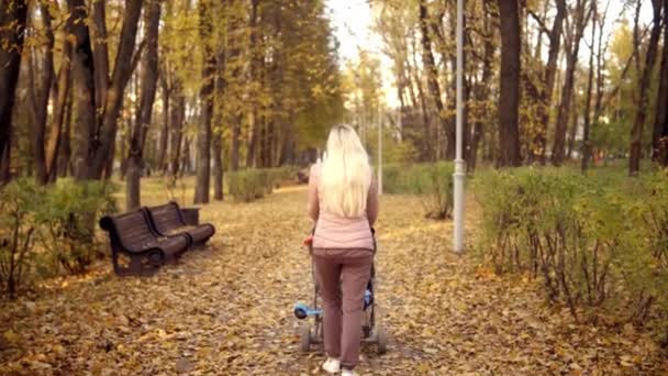 Mom Blond Hair Walks Park Baby Stroller — Videoclip de stoc