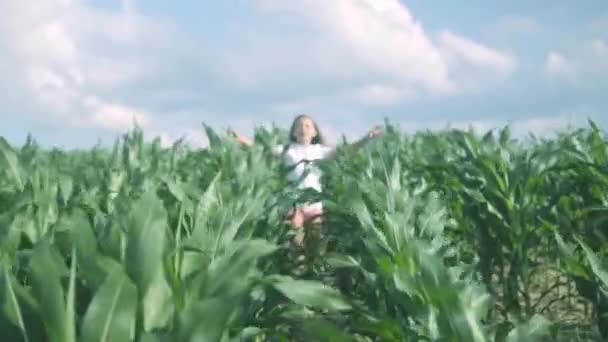Щаслива Дівчина Довгим Волоссям Розважається Під Час Бігу Кукурудзяній Плантації — стокове відео