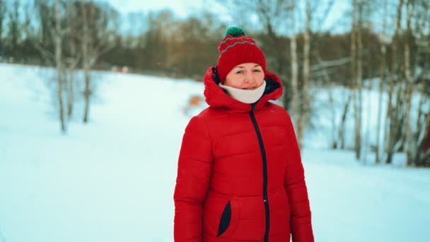 Une Fille Veste Rouge Tient Sur Lac Gelé Sur Fond — Video