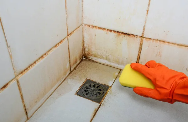 Clean old dirty bathroom floors and walls, bathroom cleaning tools to try and remove dirt, mold and corrosion from white bathroom tiles. sponge..   