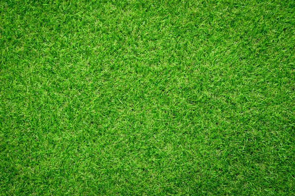 Green Grass Background Vignette Green Nature Wall Texture Ideal Use — Stock Photo, Image