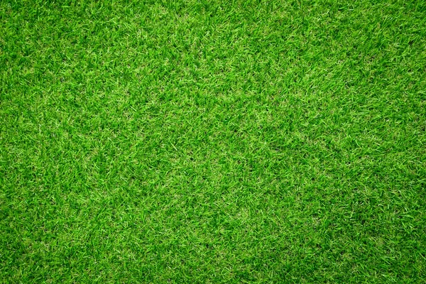 Green grass background vignette or the green nature wall texture Ideal for use in the design fairly.