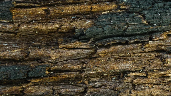 Textura Madera Vieja Con Grietas — Foto de Stock