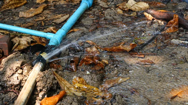 Water leak on PVC drain in backyard, broken water pipe