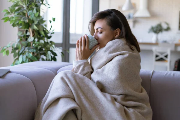 Young Woman Home Sofa Winter Wrapped Herself Warm Cozy Blanket — Stock Photo, Image