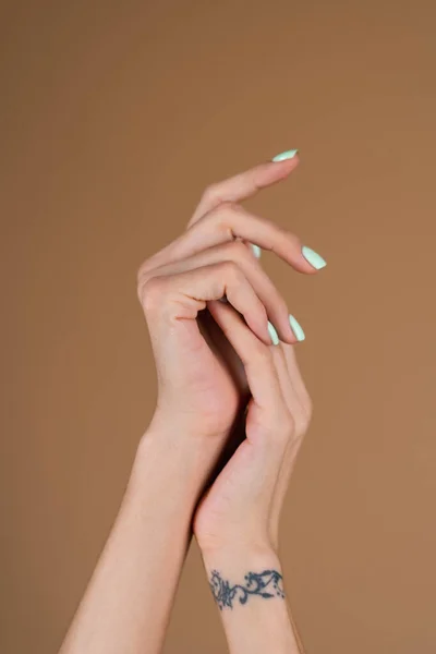 Mãos Femininas Graciosas Com Dedos Longos Finos Manicure Turquesa Casa — Fotografia de Stock