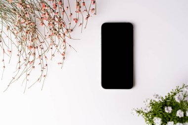 Düz yatış, üst manzara, beyaz arka plan, 8 Mart için pembe sevimli çiçekli kurumuş çiçekler, bahar havası, boş siyah ekranlı telefon.