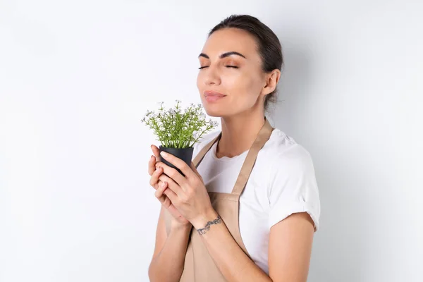 Young housewife in an apron on a white background holds a houseplant in a pot, smiles positively