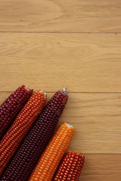 Colorful Corn Cobs Wodden Background Copy Space Autum Background — Stock Photo, Image